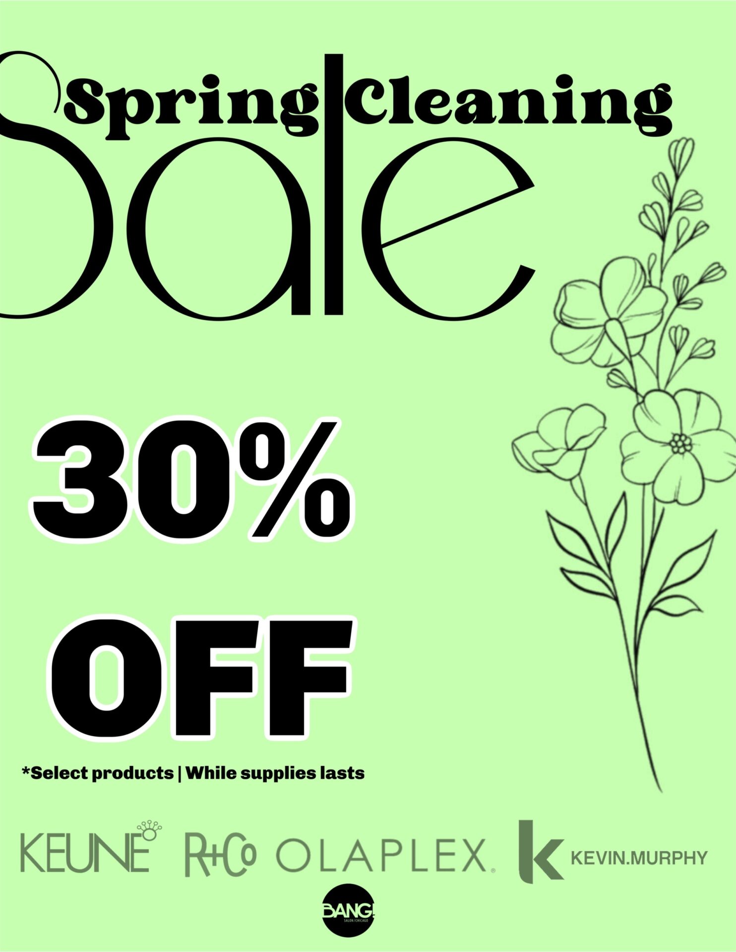 30% Off! Spring Cleaning Sale!